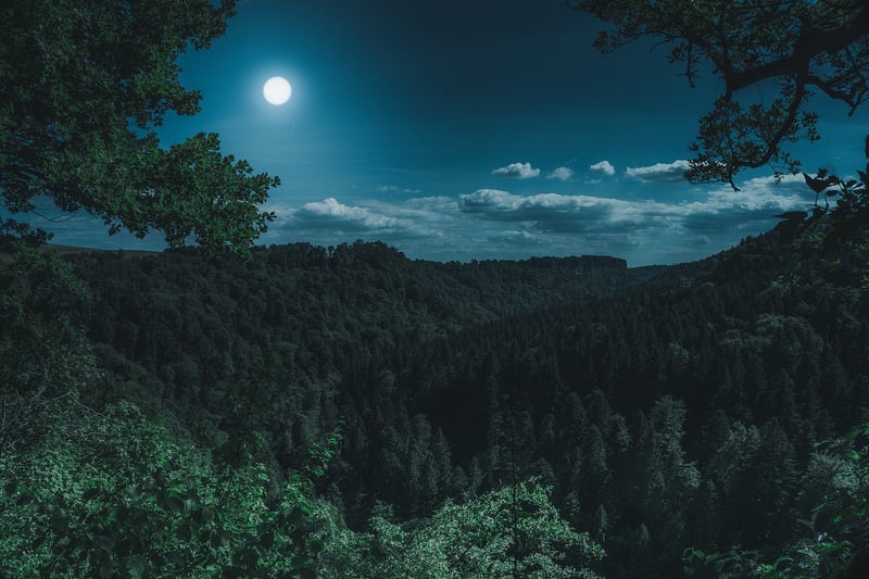 Moon and Stars Lanterns